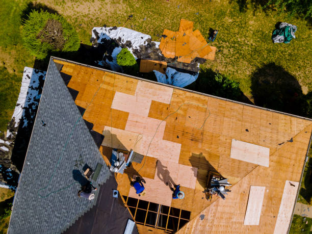 Best Storm Damage Roof Repair  in Cresaptown, MD