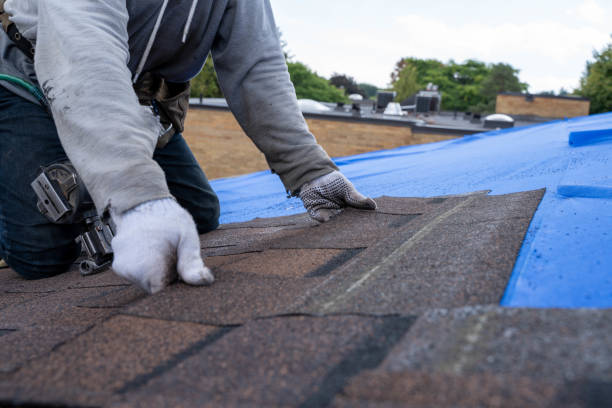 Best Flat Roof Repair Services  in Cresaptown, MD
