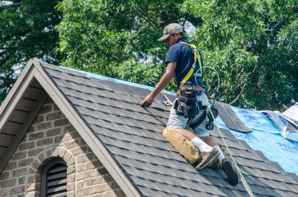 Best Shingle Roofing Installation  in Cresaptown, MD